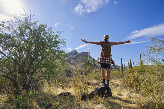 Scottsdale Desert Classic Guided Hiking Adventure - Meeting Point and Transportation