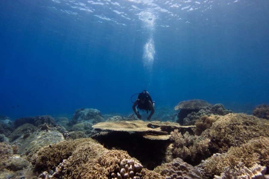 Scuba Diving 3 Islands Nha Trang Tour