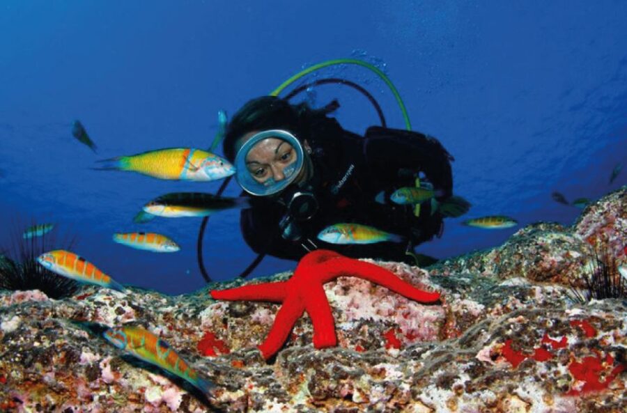 scuba-diving-baptism-in-caleta-de-fuste-pricing-and-booking