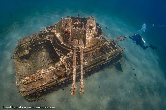 Scuba Diving for Certified Divers - Inclusions in the Scuba Diving Package