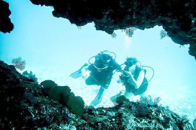 Scuba Diving Marietas Islands - Overview and Location