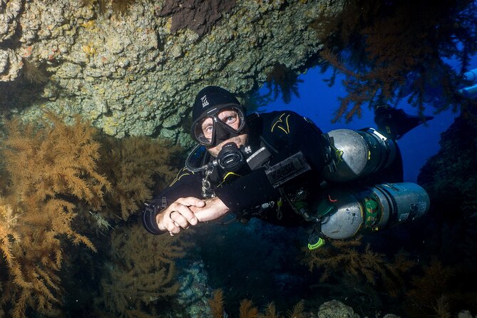 Scuba Diving Multiple Dives in Playa De La Americas