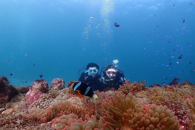 scuba-diving-snorkeling-location-and-meeting-points