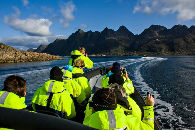 Sea Eagle Safari From Svolvaer to Trollfjorden - Inclusions and Gear Provided