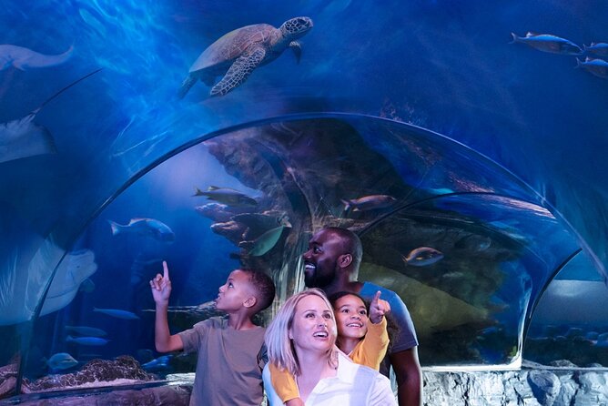sea-life-aquarium-minnesota-admission-ticket-at-mall-of-america-themed-tanks-and-exhibits