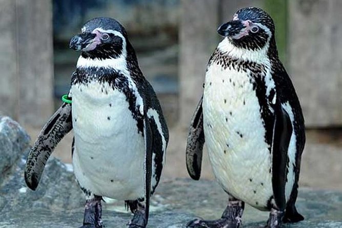 sea-life-great-yarmouth-general-admission-overview-and-experience