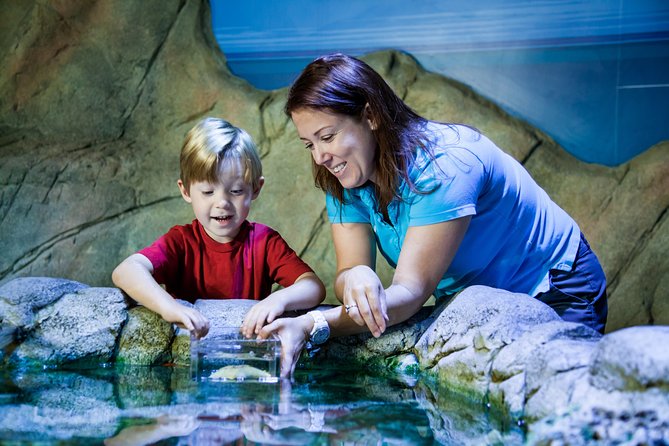 sea-life-kansas-city-aquarium-admission-ticket-overview-of-the-aquarium