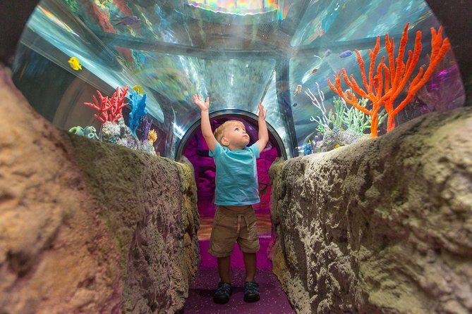 sea-life-michigan-aquarium-admission-ticket-aquarium-overview