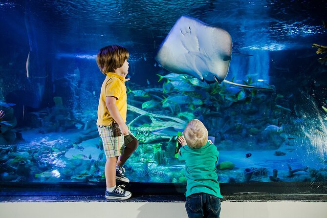 sea-life-orlando-aquarium-overview-of-the-aquarium