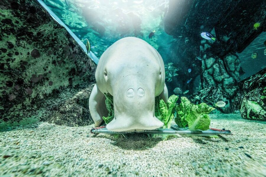 sea-life-sydney-aquarium-overview-of-the-aquarium