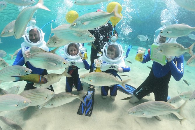 Sea Trek (exclusive in Lanzarote) - Unique Diving Experience