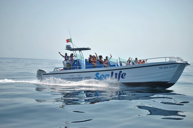 Sealife Sea Safari, Dolphin Watching With Marine Biologists Lagos