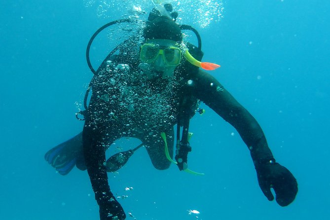 Seastar Luxury Outer Great Barrier Reef Island and Reef Tour - Included Activities