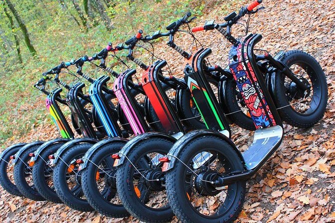 Seignosse Electric Scooter Excursion