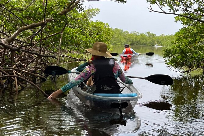 Self-Guided Island Tour - CLEAR or Standard Kayak or Board - Bonita Springs - Whats Included