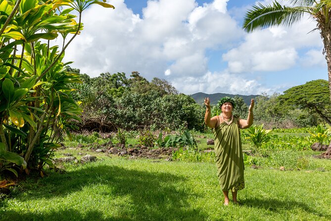 Semi Private Honolulu Historical Tour - Tour Details