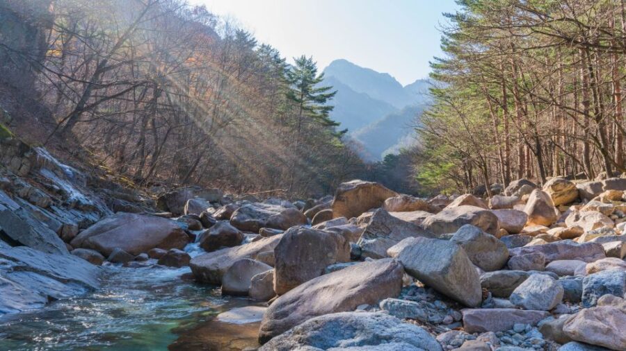 seoul-mt-seorak-hike-with-naksansa-temple-or-nami-island-destinations-at-a-glance