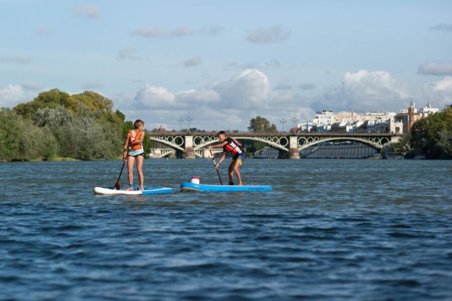 Seville: Guided Paddle Surf Tour - Tour Overview
