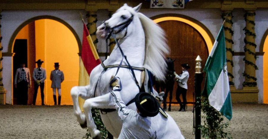 Seville: Jerez and Cadiz Wine Tasting & Horse Show Day Trip - Tour Details