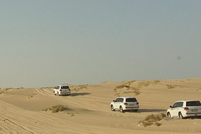Sharing or Private Safari, Sand Boarding, Camel Ride, Inland Sea Quick Swim - Overview of the Tour