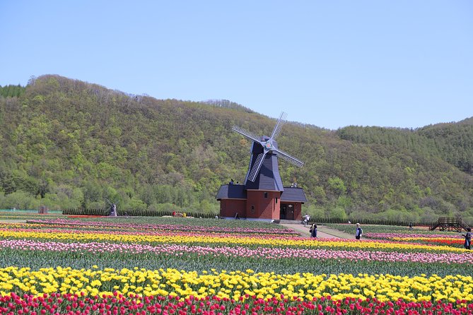 shibazakura-tulip-going-by-private-car-shibazakura-takinoue-park-and-kamiyubetsu-tulip-park-from-sapporo-destination-overview