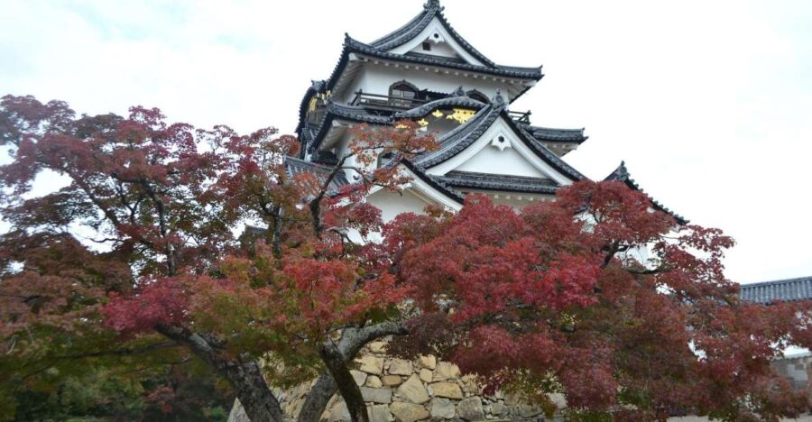 Shiga Audio Guide: The Majestic Lake Castle – Hikone Castle