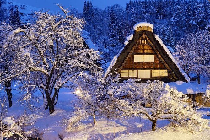 Shirakawago All Must-Sees Private Chauffeur Tour With a Driver (Departing From Takayama) - Tour Overview