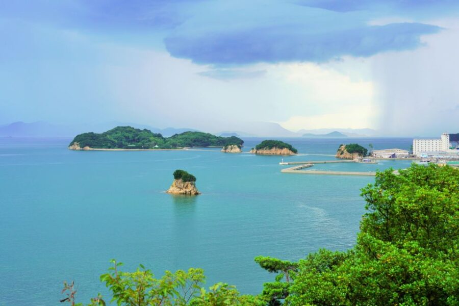 Shodoshima Private Taxi Tour - Pilgrimage Temple Visit