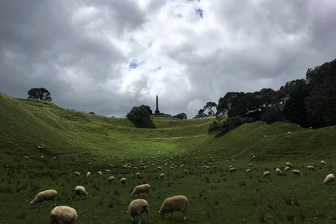 Shore Excursion: Half-Day Auckland Volcanoes Tour - Tour Overview