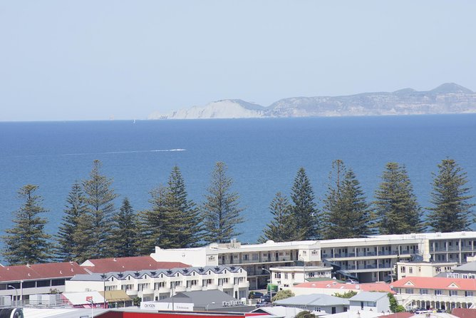 Shore Excursion: Napier and Surrounding Countryside Scenic Tour