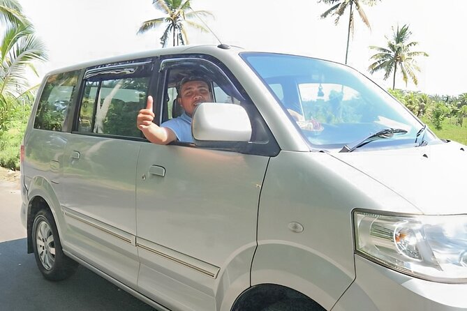 Shore Excursion: Private Bali Car Rental Service - Bali Car Rental Service Overview