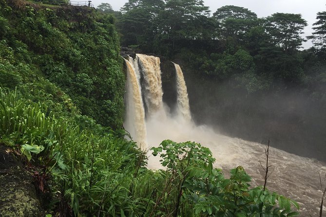 Shore Excursion: Volcano Adventure Tour From Hilo - Included in the Tour