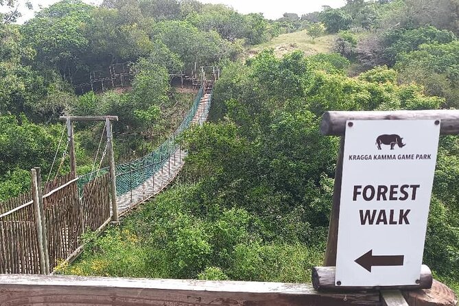 Skip the Line: 2-Hour Guided Game Drive at Kragga Kamma Game Park Ticket - Overview of the Game Drive