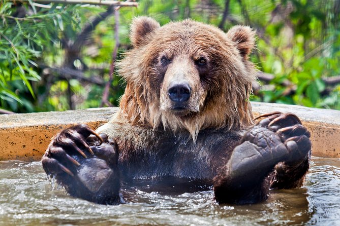 skip-the-line-kamloops-bc-wildlife-park-admission-ticket-overview-of-the-wildlife-park