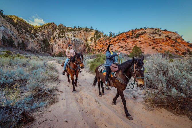 Small-Group East Zion White Mountain Horseback Ride - Overview of the Experience