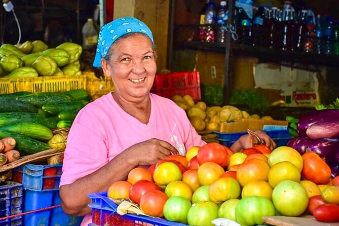 Small Group: Half Day Dominican Republic Cultural Tour - Tour Overview and Highlights