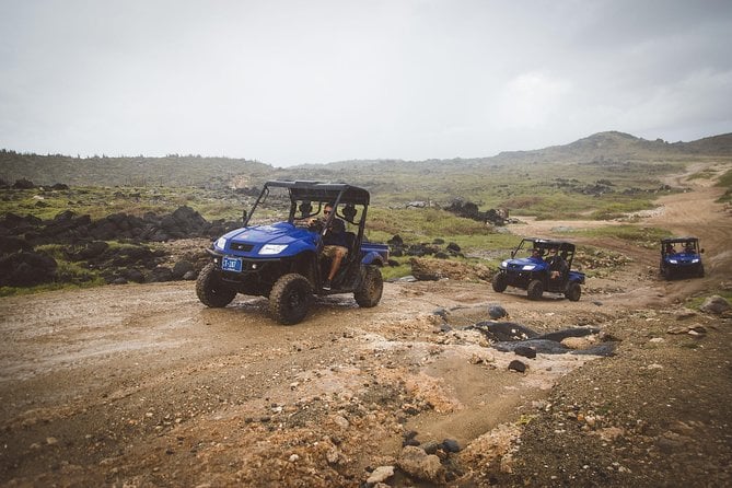 small-group-half-day-utv-adventure-morning-tour-in-aruba-inclusions-and-pickup-details