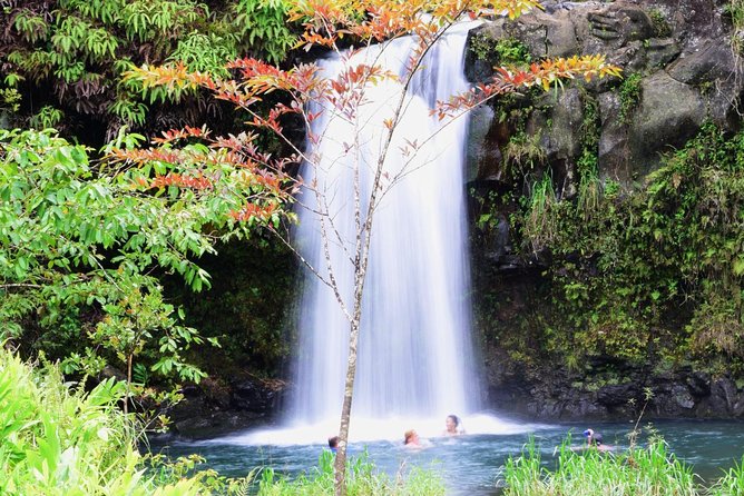 Small-Group Luxury Tour: Road to Hana and Kaeleku Cavern Day Trip - Overview of the Tour