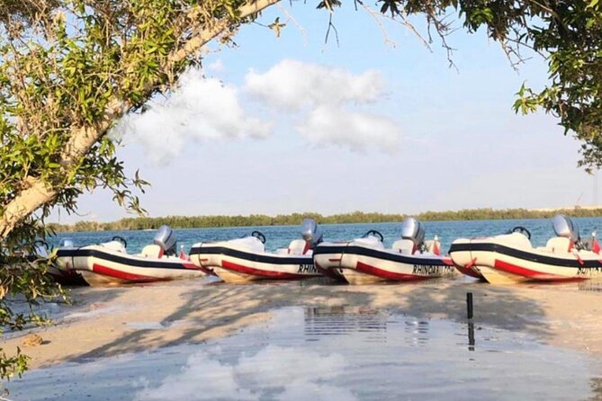 Small-Group Self-Drive Speedboat Tour in Yas Island Mangroves
