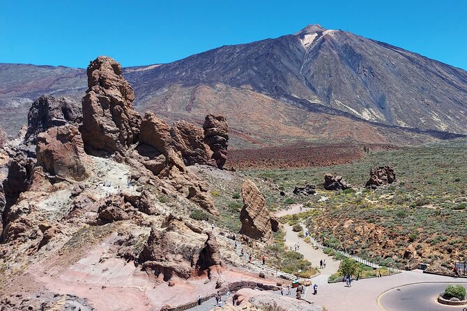 Small Group Teide National Park Volcanic and Forest Wonders