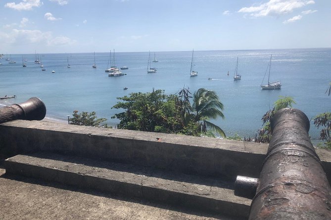 Small-Group Tour: Unmissable Martinique With St Pierre and More - Inclusions and Logistics