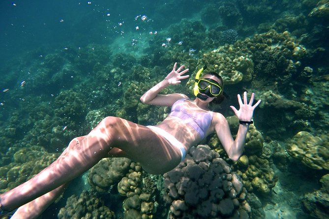 Small Groups of 20 People - Phi Phi & Bamboo Islands With Lunch