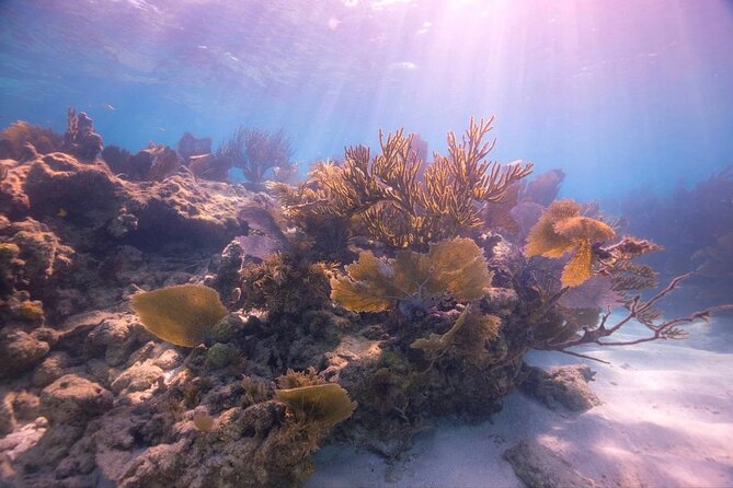 3 Best Guided Tours In Key Largo