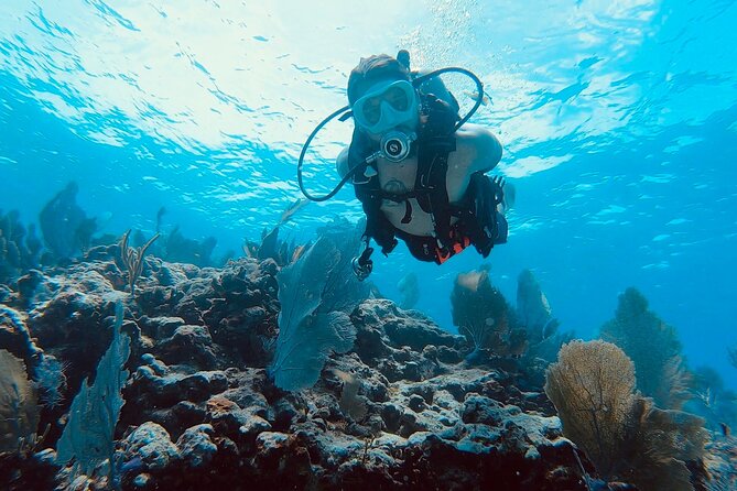 Snorkel Tour - Visit 2 Shallow Reefs John Pennekamp State Park - Snorkeling Highlights