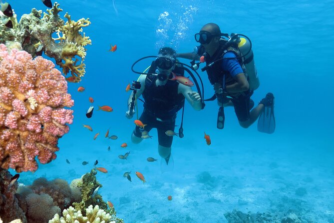 Snorkeling Day White Island & Ras Mohamed With Top Deck Yacht