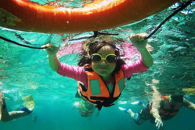 Snorkeling Guided Activity in Puerto Morelos Mexico - Overview of the Snorkeling Activity