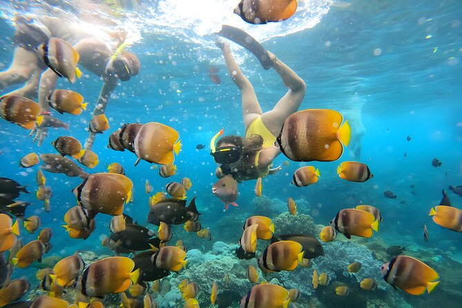 Snorkeling In Nusa Penida Departing From Bali Island - Overview of the Tour