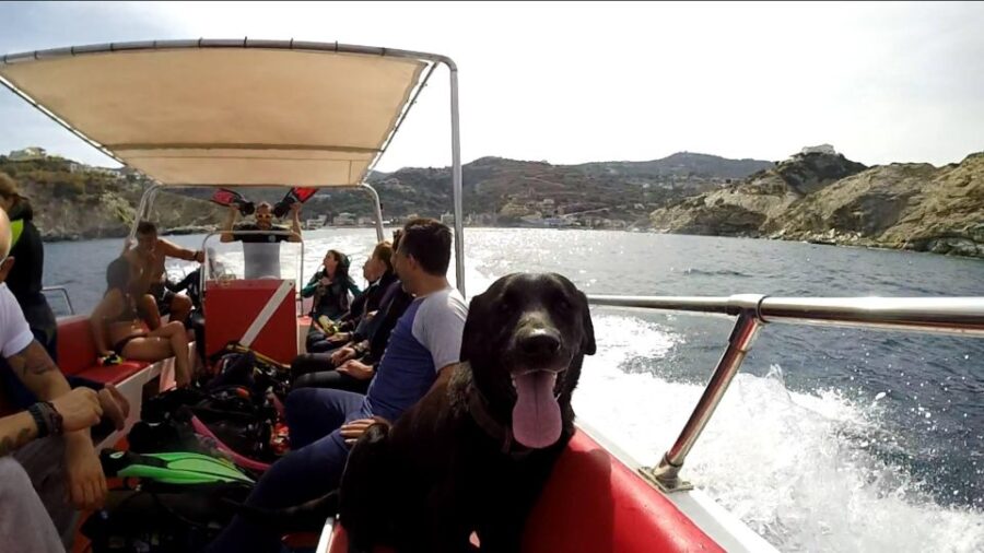 snorkeling-trip-with-motor-boat-around-agia-pelagia-trip-overview