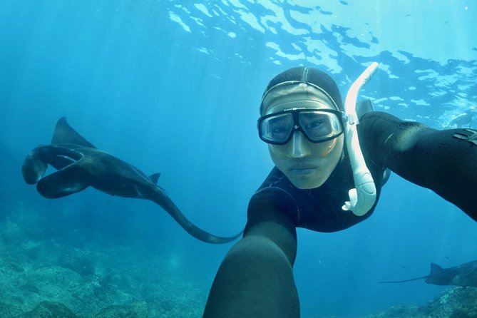 Snorkelling in Nusa Penida - Manta Point - Tour Overview