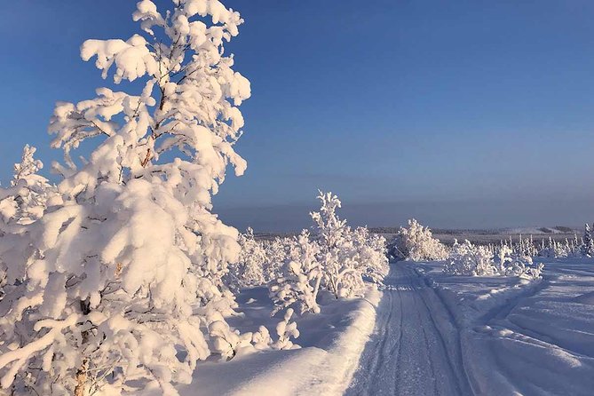 Snowmobile Arctic Adventure